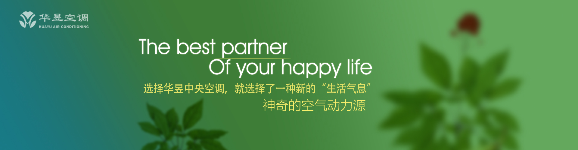 转危为安网